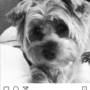 Meet your Posher, Sandra